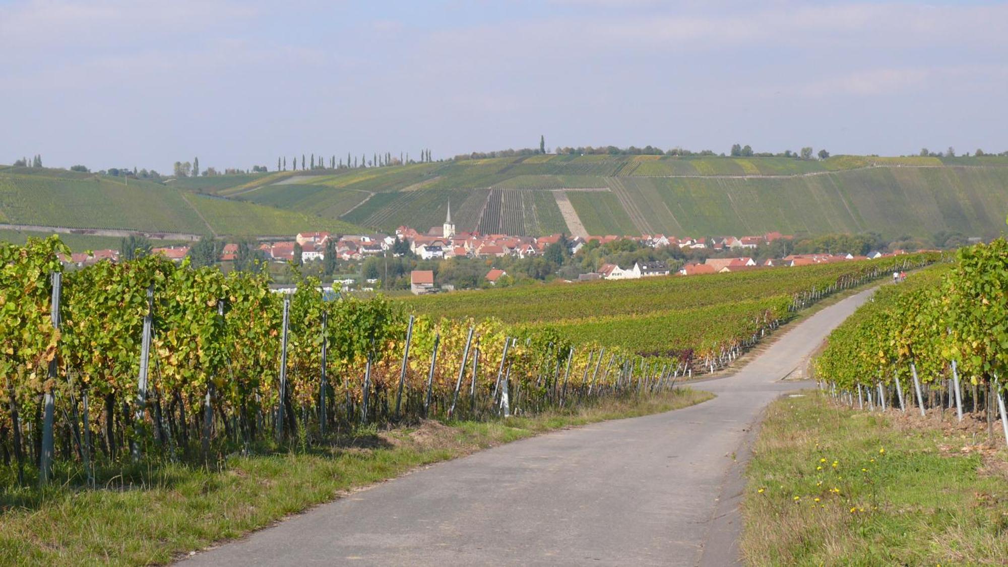نوردهيم Weingut Herbert Kram المظهر الخارجي الصورة