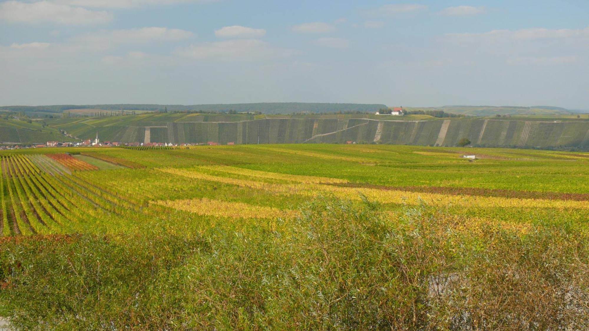 نوردهيم Weingut Herbert Kram المظهر الخارجي الصورة